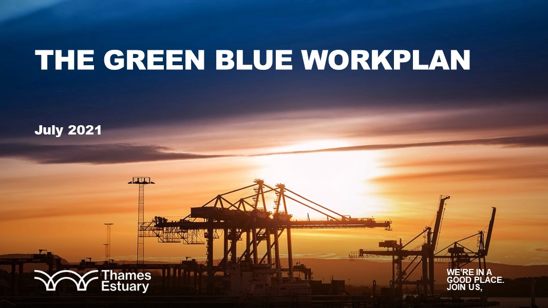 The Green Blue Workplan cover July 2021