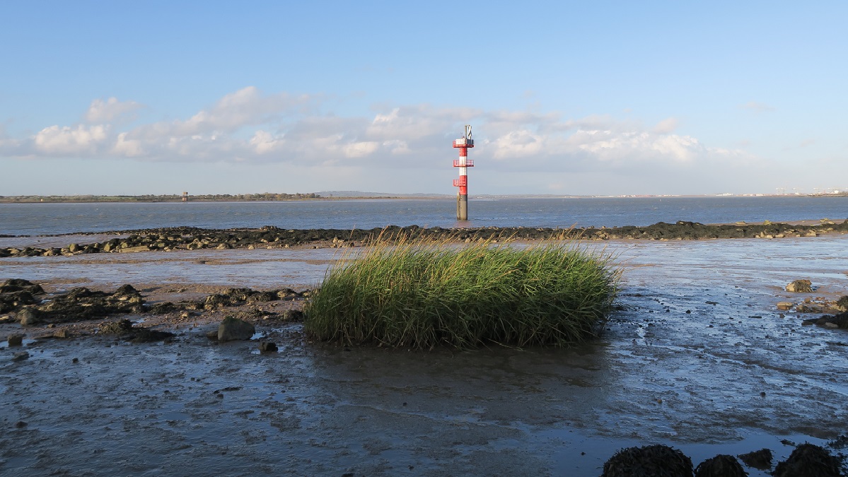View of Shornemead lighthouse across shallow river on a clear day 